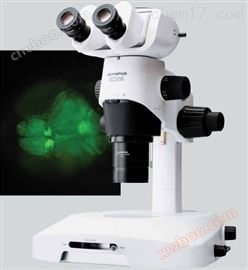 SZX16 Olympus research grade clinical stereomicroscope