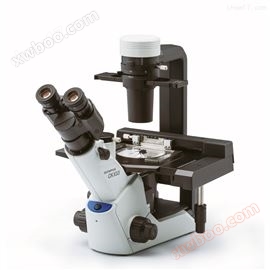CKX53 Olympus research grade inverted biological microscope